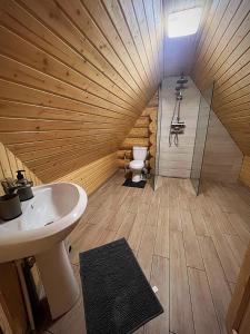 a bathroom with a sink and a toilet at Pensiunea Casa Cătanelor in Leordina