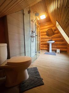 een badkamer met een toilet en een wastafel bij Pensiunea Casa Cătanelor in Leordina