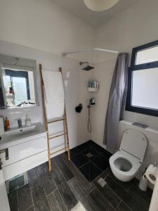 un piccolo bagno con servizi igienici e lavandino di penthouse a Herzelia