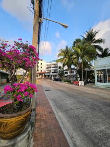 a street with flowers in a pot on a pole at La Xenia Hotel Kata Beach in Kata Beach