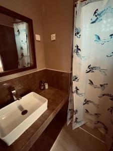 a bathroom with a sink and a shower curtain at Binta Boutique Hotel in Nungwi