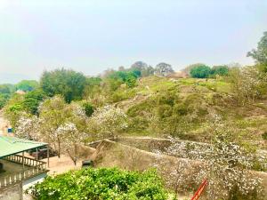 a view of a hill with white flowers on it at Nhà nghỉ Tâm Cường in Diện Biên Phủ
