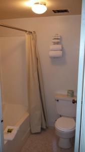 a bathroom with a toilet and a tub and a shower at National 9 Inn in Tonopah