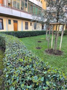 a garden with green plants in front of a building at La Casetta Scandicci in Scandicci