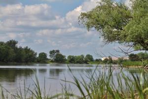 Blick auf einen See mit Bäumen und Wolken in der Unterkunft Gutshof Kehnert - Pension & Ferienwohnungen in Kehnert