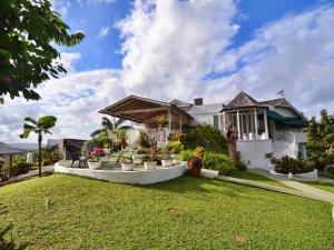a house with a lawn in front of it at The Fan Villa in Port Antonio