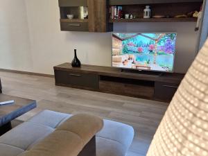 Televízia a/alebo spoločenská miestnosť v ubytovaní APARTMENT NEVERA