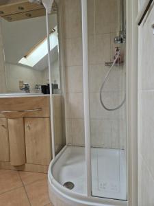 eine Dusche mit einer Glastür in einem Badezimmer in der Unterkunft Apartment Traunkai Zauner Blick in Bad Ischl + 6 Fotos
