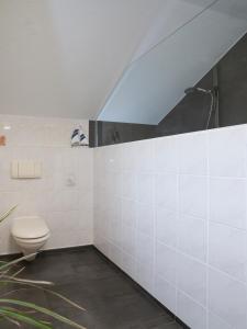 ein Bad mit einem WC und einer Dusche in der Unterkunft Schmidt`s Eppelborner Ferienwohnung in Eppelborn