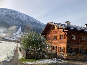 a wooden house with a mountain in the background at ApartmentMICRO in Pfronten