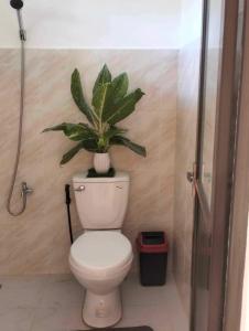a bathroom with a toilet with a plant on top of it at Mario's White House in Langi-langiban