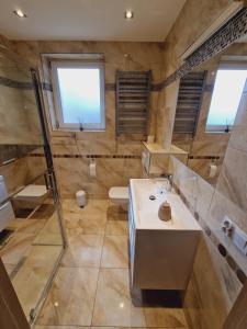 a bathroom with a sink and a shower and a toilet at Apartament u Rybaka in Sędki
