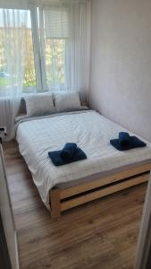 a large bed with two blue pillows on it at DAMS Apartament Oświęcim in Oświęcim