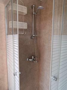 a shower with a glass door in a bathroom at Fox Caravan in Afionas