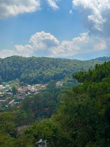 vistas a una ciudad sobre una colina con árboles en Sefernia Tranquil Abode, en Baguio