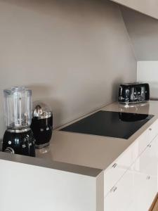 a kitchen counter with a blender and a toaster at Loft @ de Vlaamse Ardennen in Brakel