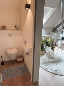 La salle de bains est pourvue de toilettes et d'un lavabo. dans l'établissement Loft @ de Vlaamse Ardennen, à Brakel
