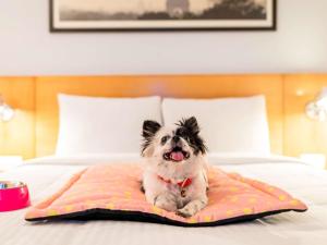 Postel nebo postele na pokoji v ubytování ibis Pune Viman Nagar - An Accor Brand
