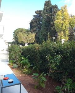 een tuin met een blauwe bank voor een struik bij Suite Europa in San Vito dei Normanni
