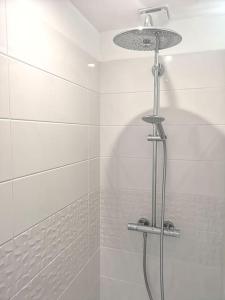 ein Bad mit einer Dusche mit einem Duschkopf in der Unterkunft La Bohème - Maison + Parking (Portes de Chartres) in Jouy