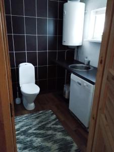 La petite salle de bains est pourvue de toilettes et d'un lavabo. dans l'établissement Sepa puhkemaja, à Pärnu