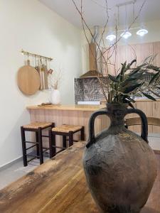 um vaso sentado numa mesa com uma planta dentro em La Maison Du Village em Lardos