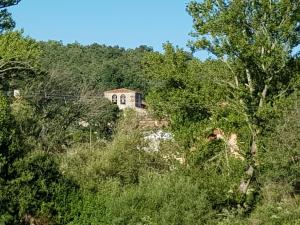 una casa en la cima de una colina con árboles en La Cabaña 