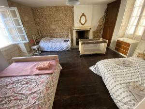 a living room with two beds and a fireplace at Maison du 12ème siècle in Saint-Privat-des-Prés