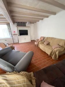 a living room with two couches and a television at Maison du 12ème siècle in Saint-Privat-des-Prés