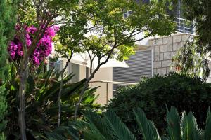 a garden with pink flowers in front of a building at Hotel Les Eucalyptus in Porto Pollo