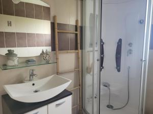 ein Bad mit einem Waschbecken und einer Dusche in der Unterkunft Années 80, enquête et jeux hors du temps in Saint-Romain-le-Preux