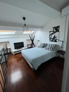 1 dormitorio con 1 cama y TV de pantalla plana en Sophia's Loft, en Parma
