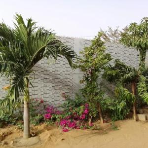 a garden with pink flowers and a brick wall at Villa Malya-Rez de chaussée Privé et indépendant avec deux chambres et jacuzzi dans une maison- in Saly Portudal