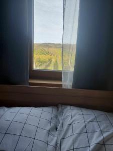 a bedroom with a bed and a window with a view at Sklipek Popice in Popice