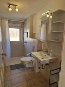 a bathroom with a toilet and a sink at Appartement Zur Koje in Boltenhagen
