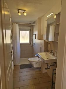 a bathroom with a toilet and a sink at Appartement Kaminzauber in Boltenhagen
