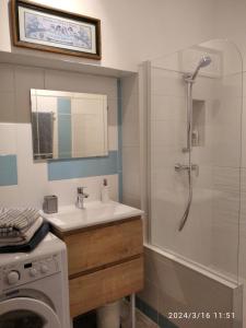 La salle de bains est pourvue d'une douche, d'un lavabo et d'un lave-linge. dans l'établissement Le Grenier Maufoux, à Beaune