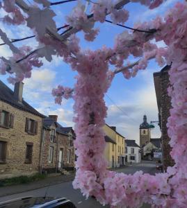 un árbol cubierto de flores rosas en una calle en Enchanté ! Chambres d'hôtes Brocéliande, en Mauron