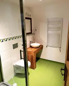 a bathroom with a toilet and a sink at Apartament 600 npm in Piechowice