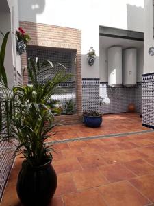 a courtyard with a potted plant on a tile floor at Shanti’s Andalusian Rooms in Málaga