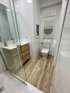 La salle de bains est pourvue de toilettes, d'un lavabo et d'une douche. dans l'établissement Apartamento en el corazón de Cantabria, à Torrelavega