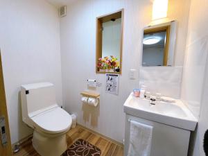 y baño con aseo blanco y lavamanos. en Guesthouse Atelier Ten 民泊アトリエ天, en Osaka