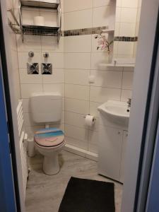 La petite salle de bains est pourvue de toilettes et d'un lavabo. dans l'établissement Ferienwohnung Sweety Haus Sachsensteinblick, à Bad Sachsa
