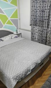 Photo de la galerie de l'établissement Jednosoban stan centar Ela,, à Pirot