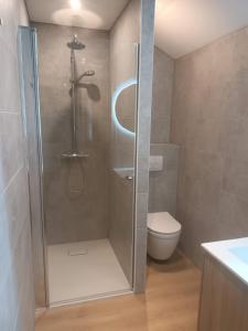 bagno con doccia e servizi igienici. di DE LANDSHOEVE vakantiewoningen a Zwalm