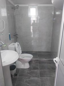 a bathroom with a toilet and a sink at Ledion Apartment in Gjirokastër