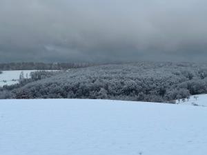 un campo ricoperto di neve con alberi sullo sfondo di Schöne Aussicht a Geiselbach