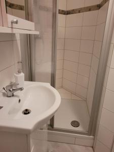 ein Bad mit einem Waschbecken und einer Dusche in der Unterkunft Ferienwohnung Sweety Haus Sachsensteinblick in Bad Sachsa