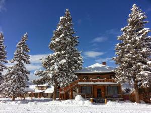 una cabaña de madera en la nieve con árboles nevados en The Spruce Lodge, en South Fork