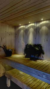 a sauna with two plants sitting on a wooden platform at BOSE and Bang&Olufsen lofts on a lake by Gauja Club in Gauja